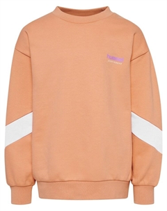 Толстовка Hummel