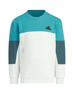 Детская толстовка, цвет Арктический океан/Светло-зеленый/Темно-синий Adidas