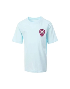 Футболка школьная, синяя Nike