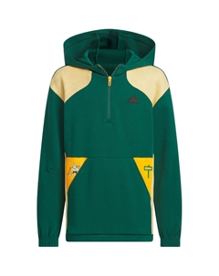 Толстовка CITY ESCAPE FW24 GRAPHIC CREW Зеленая Подростки Adidas