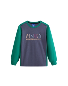 Детская футболка, серо-голубая Mizuno