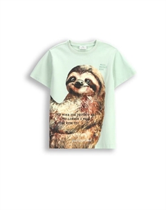 Футболка, оливково-зеленый Coccodrillo