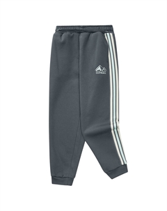 Трикотажные спортивные брюки Iron Gate серый подростковые Skechers