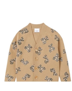Свитер FW22 Umber Kids' Burberry