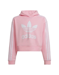 Кроп худи розовый подростковый Adidas originals