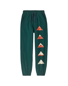 Детские спортивные брюки - брюки для отдыха, зеленый Patagonia