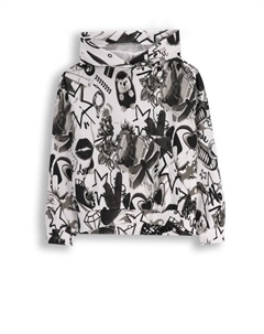 Толстовка, красочный Coccodrillo