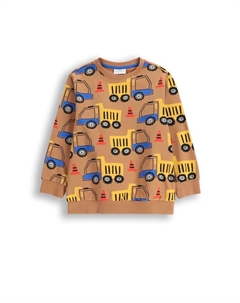 Толстовка, коричневый Coccodrillo