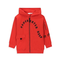 Толстовка, красный Coccodrillo