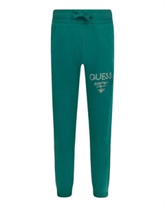 Спортивные штаны Regular fit, зеленый Guess