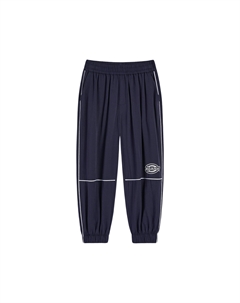 Детские спортивные штаны, светло-голубые Dickies