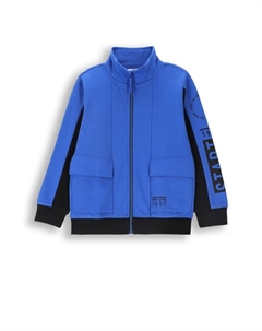 Толстовка, кобальтовый синий Coccodrillo