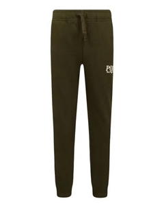 Спортивные штаны Regular fit, зеленый Polo ralph lauren