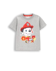 Футболка, серый Coccodrillo