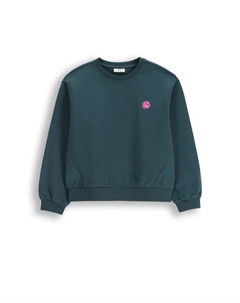 Толстовка, зеленый Coccodrillo