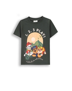 Футболка, зеленый Coccodrillo