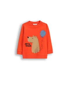 Рубашка с длинным рукавом, красный Coccodrillo