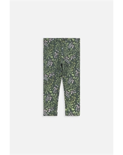 Леггинсы, зеленый Coccodrillo