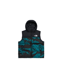 Жилет унисекс синий черный, Blue Black The north face