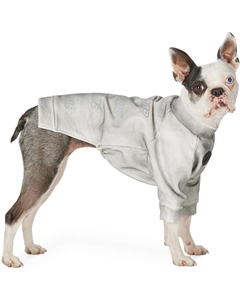 ENE Exclusive Grey Logo толстовка серебристая We11done