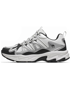 Auspicious Dragon 2.0 Низкие Туристические Ботинки Женские Серебристо-Белый/Черный, цвет Silver White/Black Camel