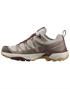 Женские кроссовки X Ultra 360 Edge GORE TEX 'Silver Cloud Rum Raisin' бежевые, цвет Beige Salomon