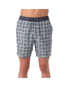 Красивые плавки с эластичным поясом 17 дюймов - для мужчин, Seagrass 2 O`neill