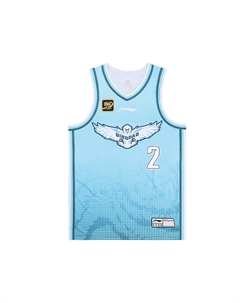Классическая баскетбольная майка CBA Collection версии 24-25 команды Циндао, Wang Ruize размер 2 мужская светло-голубая Li-ning