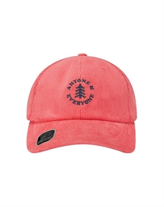 Бейсболка из акрила шерсти эластана полиэстера и хлопка унисекс разноцветная, Pink Columbia