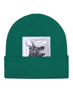 Шапка The North Face, Green Supreme