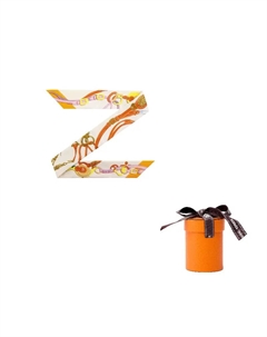 HERMES Шёлковый шарф, Multicolor Hermès