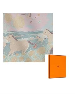 HERMES Шёлковый шарф Multicolor, Multicolor Hermès