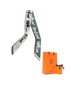 HERMES Шёлковый шарф, White/Light Green/Black Hermès