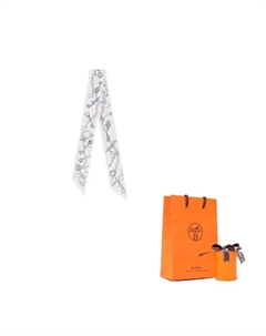 HERMES Шёлковый шёлковый шарф женский белый, White Hermès