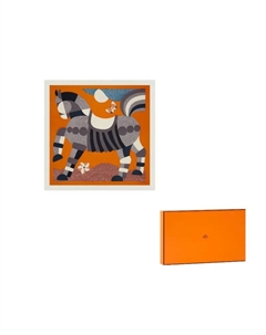 HERMES Женская шаль, Orange Hermès