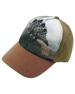 Кепка для мальчика динозавр - кепка, мультиколор Maximo