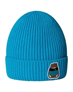 Детская шапочка с манжетами и логотипом TNF, мультиколор The north face
