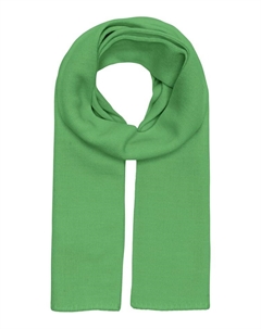 Шарф, зеленый Kids only