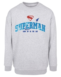 Толстовка, серый Absolute cult