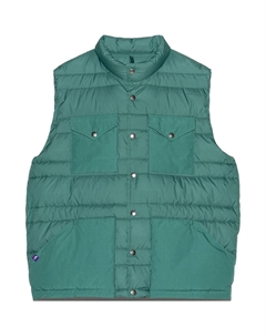 Зеленая жилетка Men's Green, Green The north face