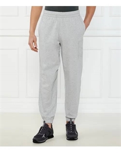 Спортивные штаны Regular fit, серый Ea7
