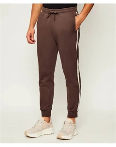 Спортивные штаны Regular fit, коричневый Ea7