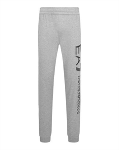 Спортивные штаны Regular fit, серый Ea7