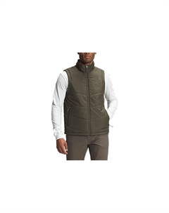 Жилет мужской пыльно-зеленый, зеленый The north face