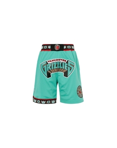 Шорты баскетбольные Mitchell & Ness мужские, Blue-Box Mitchell ness