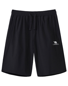 Повседневные шорты мужские, космический серый Camel