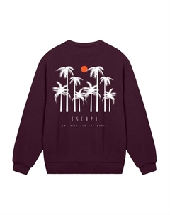 Толстовка, бордовый F4nt4stic