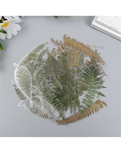 Наклейки для творчества Nobrand