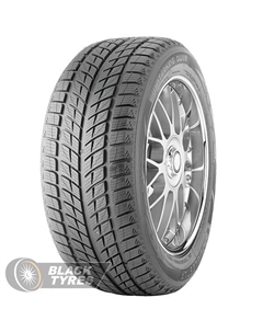 Зимняя шина Winterking DW09 245/45 R18 96T Doublestar