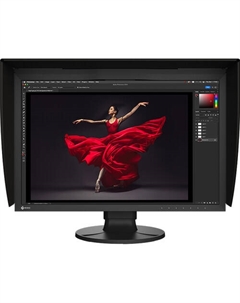Монитор EIZO ColorEdge CG2400S 24,1 дюйма Full HD HDR Eizo